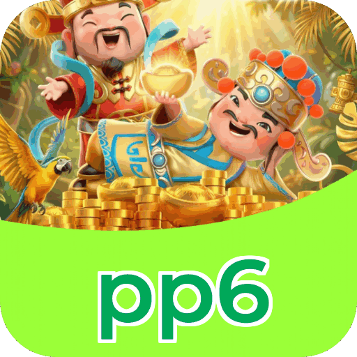 pp6
